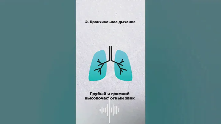 Стетоскоп