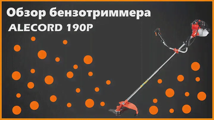 Обзор триммера ALECORD - 190P. Плюсы и минусы, тест в работе